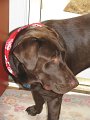 2010-07-17 Hem_0010